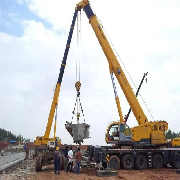 天峨小型吊机出租电话|厂房设备吊装方案|24小时服务覆盖
