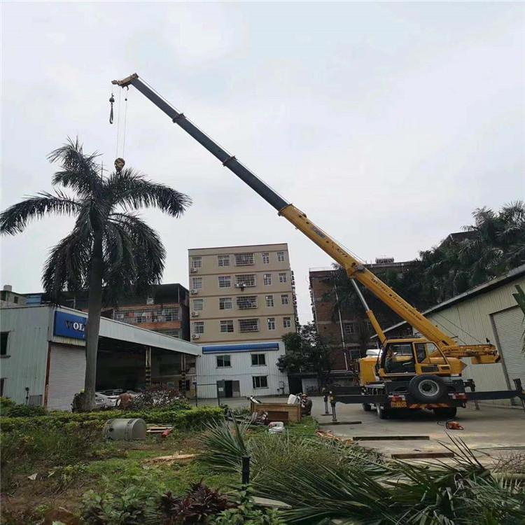 天峨吊车吊大树几种方法